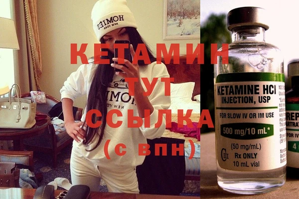шишки Дмитриев
