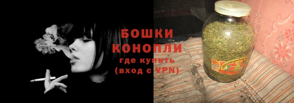 шишки Дмитриев