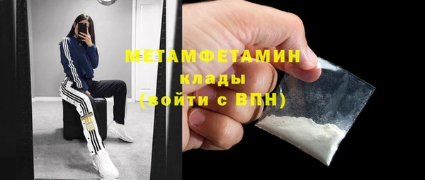 шишки Дмитриев