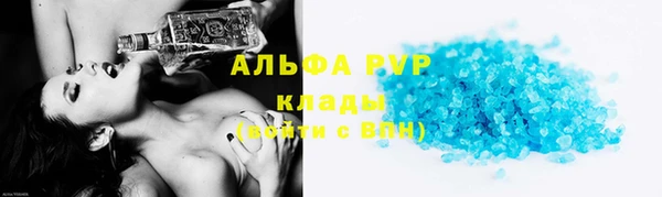 шишки Дмитриев