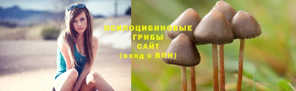 бутик Дмитровск
