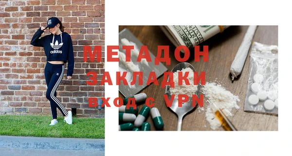 шишки Дмитриев
