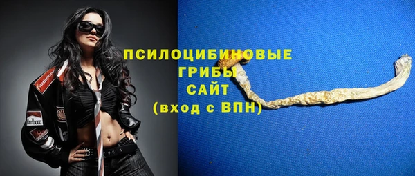 молекула духа Дмитров