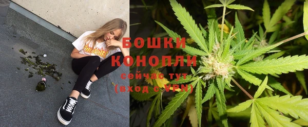 шишки Дмитриев