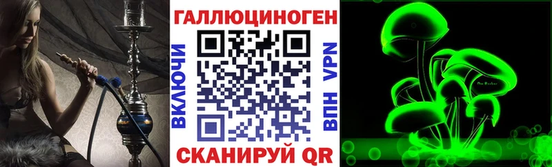 Псилоцибиновые грибы Psilocybine cubensis Качканар