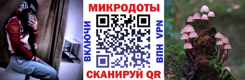 Псилоцибиновые грибы GOLDEN TEACHER  Купить где  Качканар 